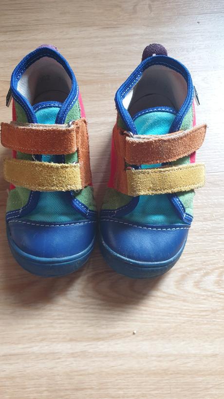 Krasne farebne rak, rak,22