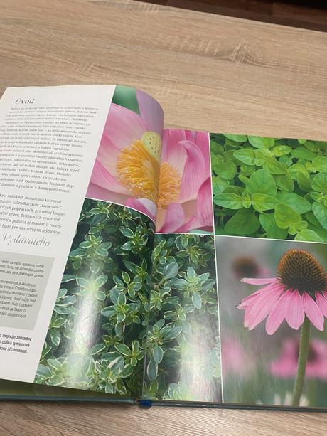 Velká kniha bylinek bylinky, 