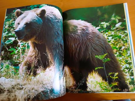 Slovenské národné parky, 