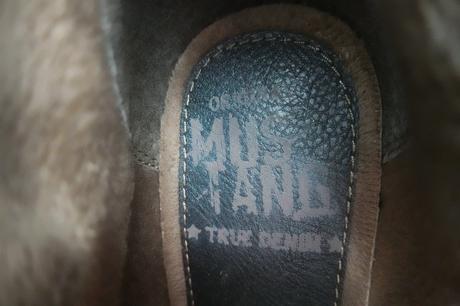 Kotničky mustang, mustang,39