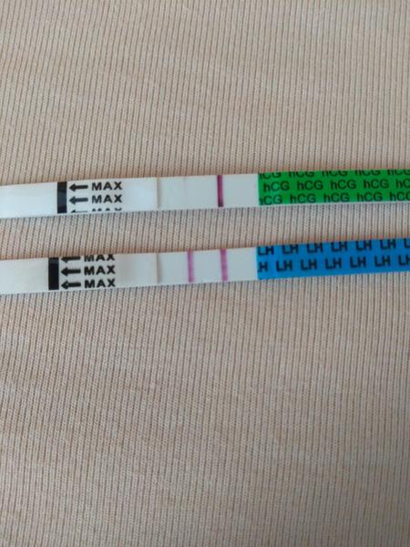 Môžem mať naraz pozitívny aj ovulačný aj tehotenský test?