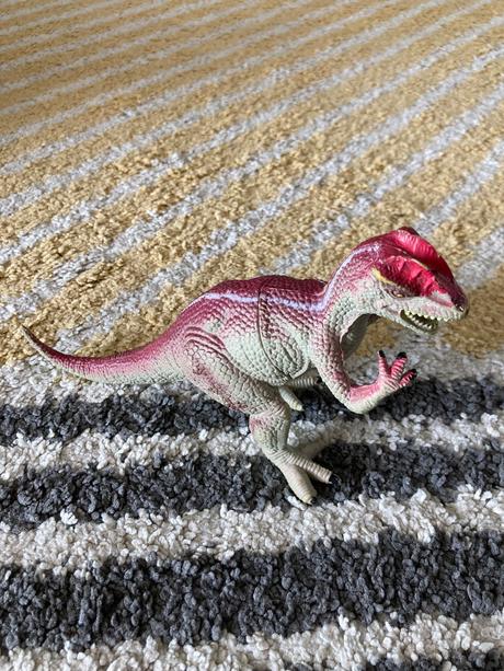 Dinovia 22cm a 32cm, 