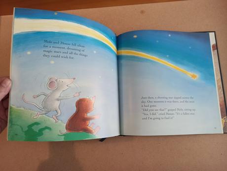 A very special wish, 