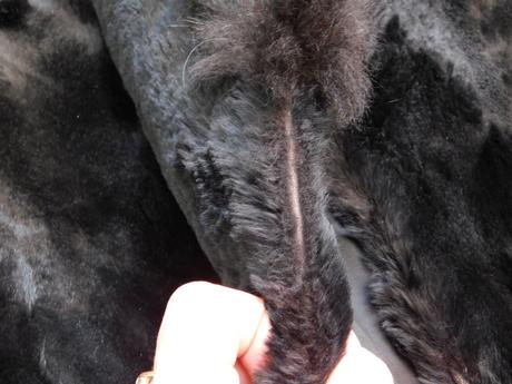 Kvalitny pekny kožuch z lišky, 40