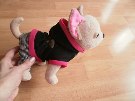 Chichi love - čivava v taške,