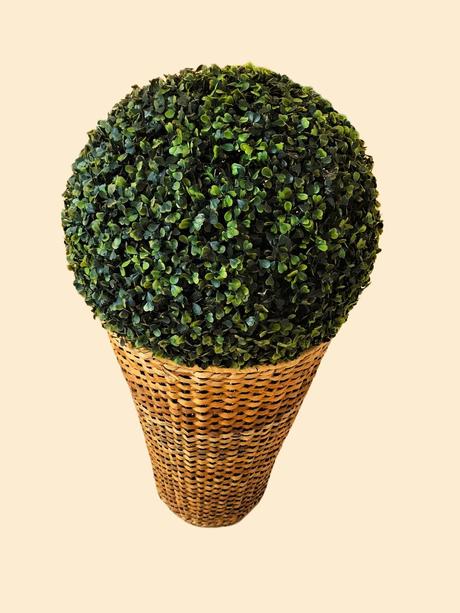 Veľký naturálny kôš/črep,