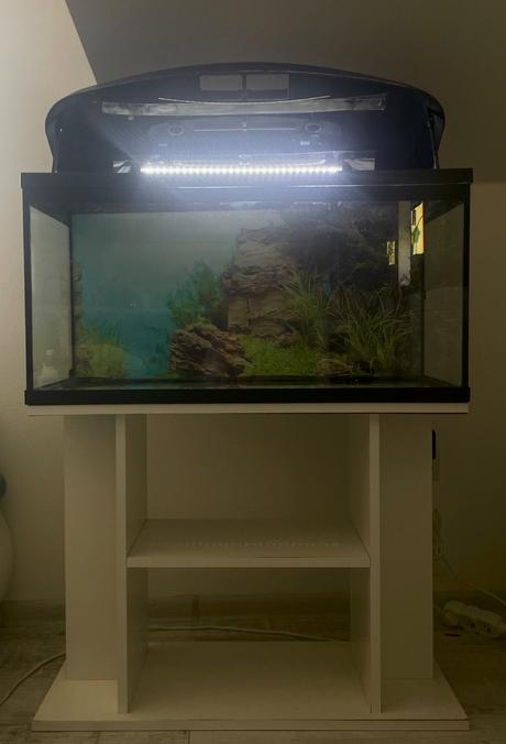 Akvarium - 100l,
