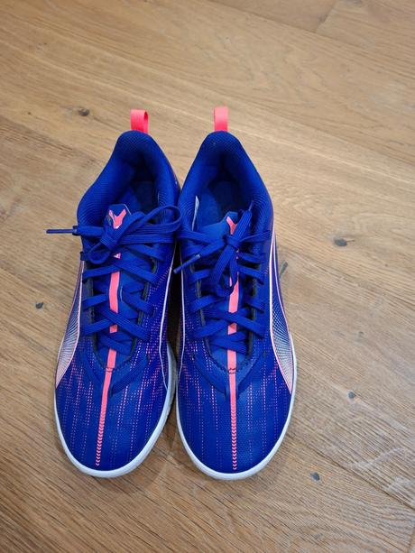 Halovky puma, puma,37