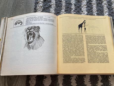 Lev nie je kráľom zvierat-prvé vyd.1981, 