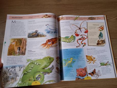 Ottova veľká školská encyklopédia, 