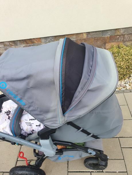 Concord wanderer, concord,concord wanderer