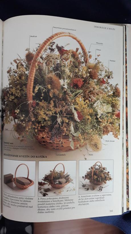 Byliny - bremnessova, l.,