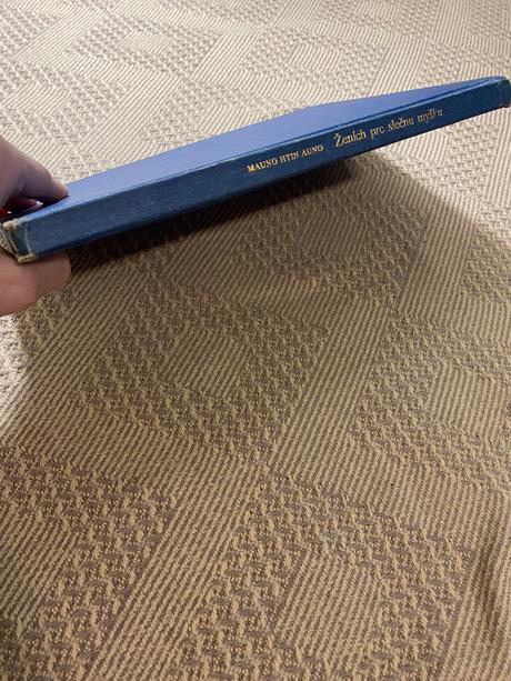 Krásna retro rozprávka ženích pre slečnu myšku, 