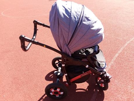 Kočík camarelo sevilla, camarelo,camarelo sevilla