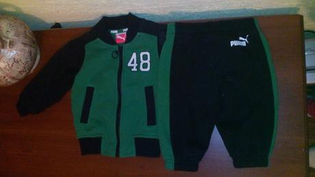 Teplakova suprava, puma,68