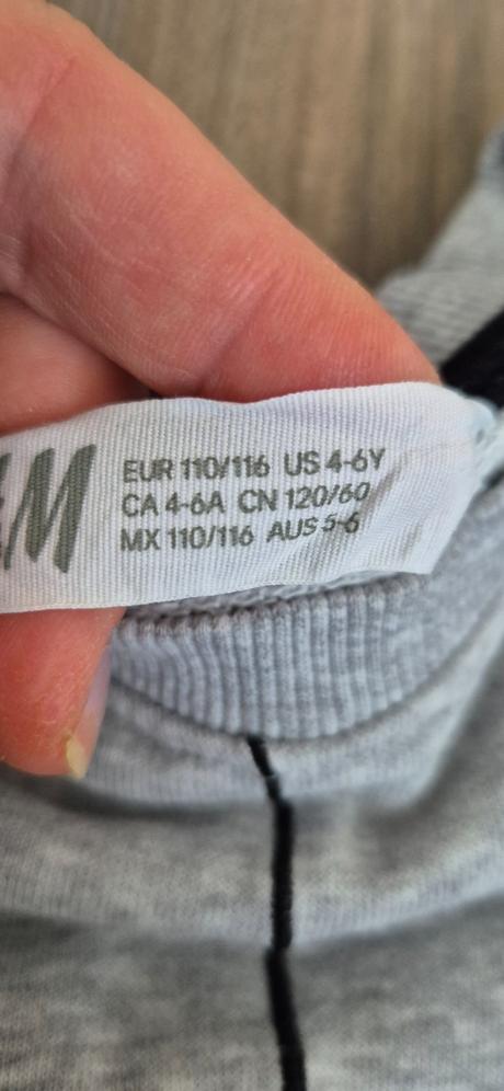 Mikina sivá pavúk, zn. h&m, veľ. 110-116 (4-6 r), h&m,110