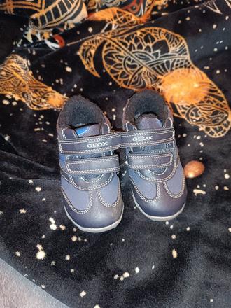 Zateplené tenisky geox - 21, geox,21