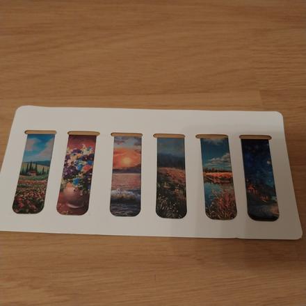 Balicek 6 magnetickych zaloziek, 