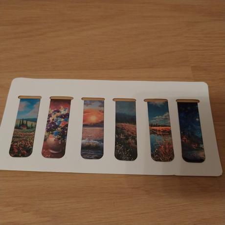 Balicek 6 magnetickych zaloziek, 