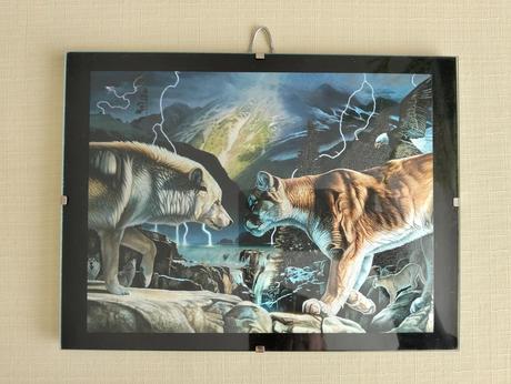 Meniaci sa obrázok, 