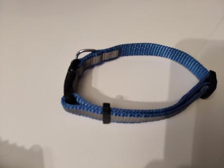 Obojok pre male plemena pes macka/zajac,