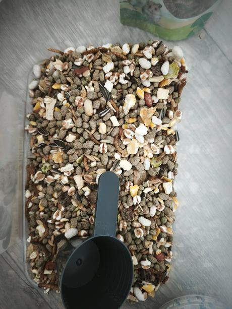 Akvárium pre hlodavce, 