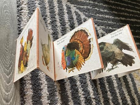 Medzi vtákmi leporelo (1987), 