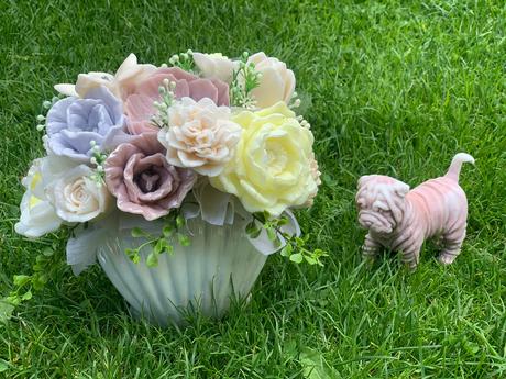 Mydlova kytica s mydlovim psikom, 