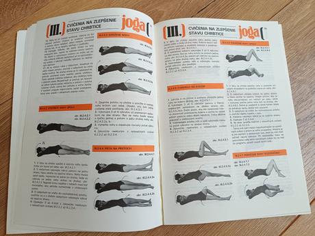 Joga osem stupnov vycviku, 