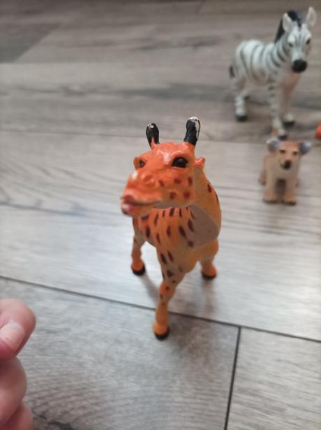 Zvieratá z dzungle, 