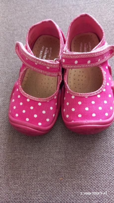 Topanocky, kornecki,24