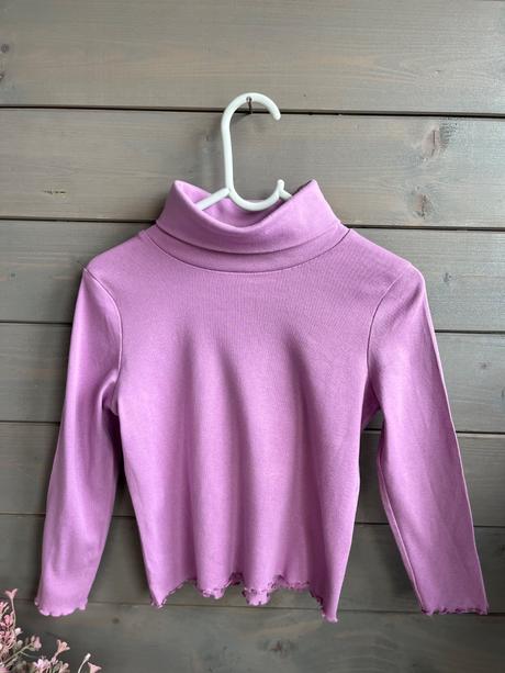 Palomino 110, palomino,110