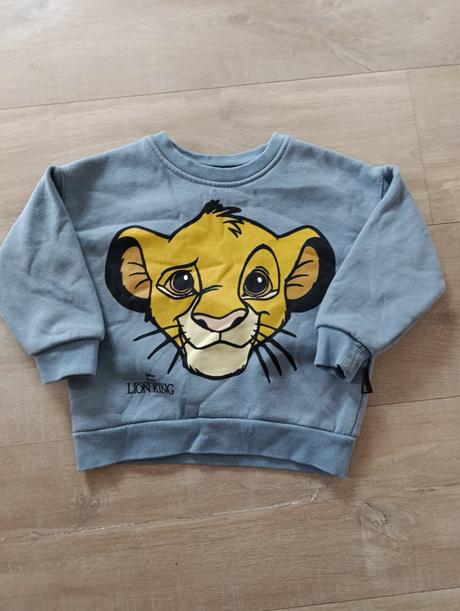 Súprava leví kráľ, 92