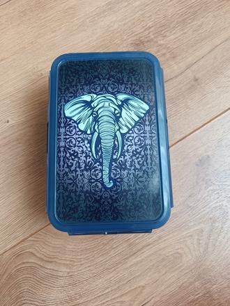 Desiatovy box slon, 