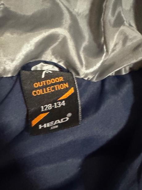 Hrubsia vesta head, 134