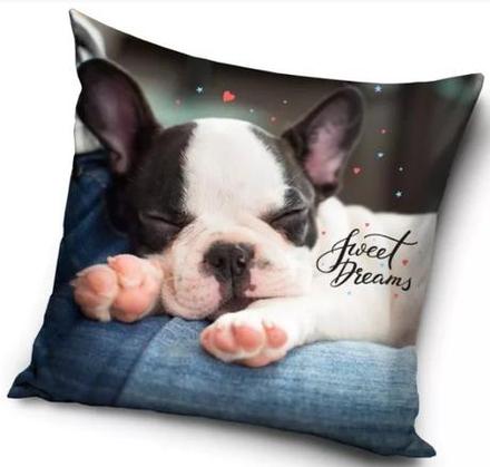 Vankúšik 40x40 psík spiaci - skladom, cbx467868,