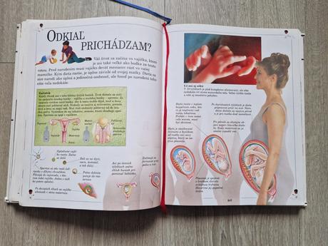 Veľká detská encyklopédia, 