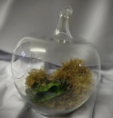 Sklenené terárium v tvare jablka, 