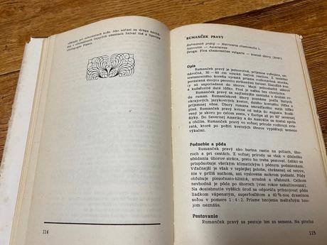 Pestovanie liečivých rastlín na malých plochách,