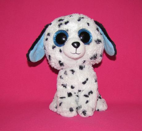 Ty dalmatínec s trblietavými očkami, 