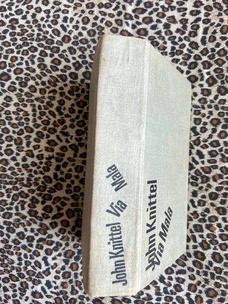 Mladý muž a biela veľryba - vladimír páral,