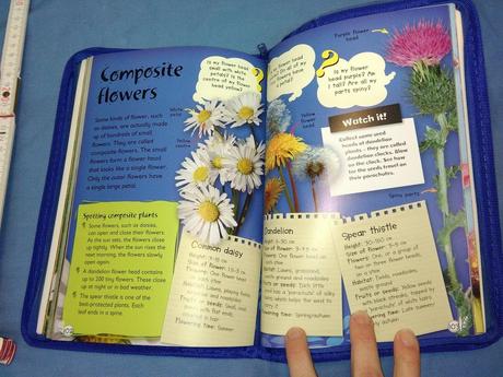 Terry jennings wildlife watcher  au21, 