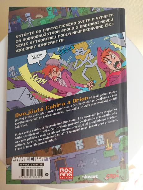Minecraft, 