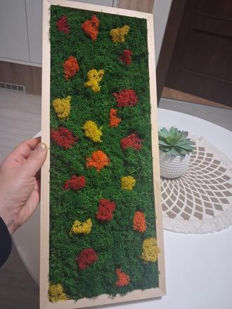 Machový obraz lúka, 