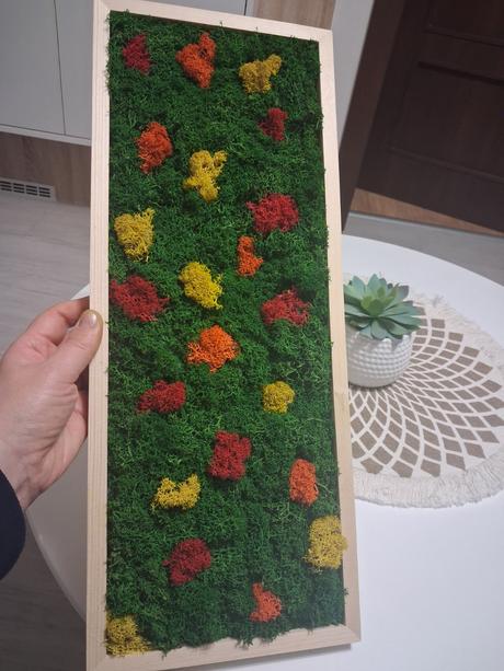 Machový obraz lúka, 