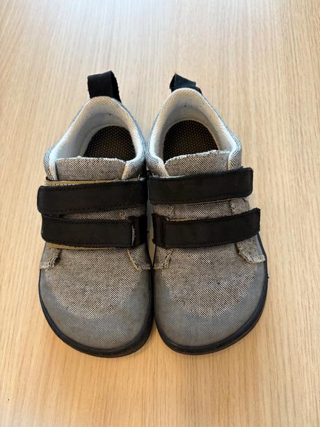 Pegres 31, pegres,31