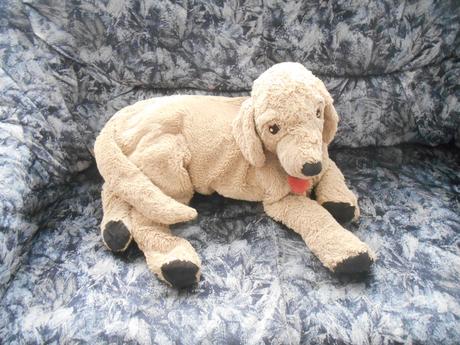 Plyšový gosig golden zlatý retriever,