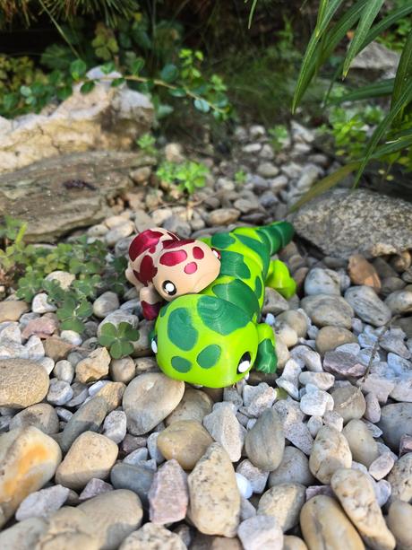 Pohyblivé salamandry rôzne farby,