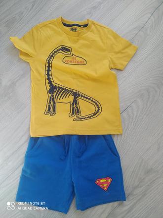 Tričko a kraťasy, 110