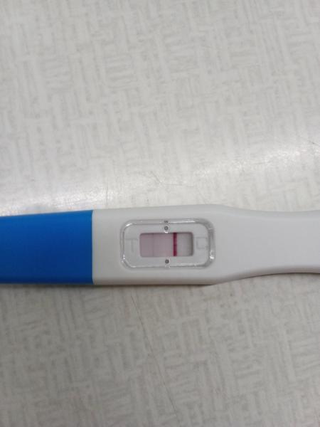 Čo si myslíte o tomto teste?